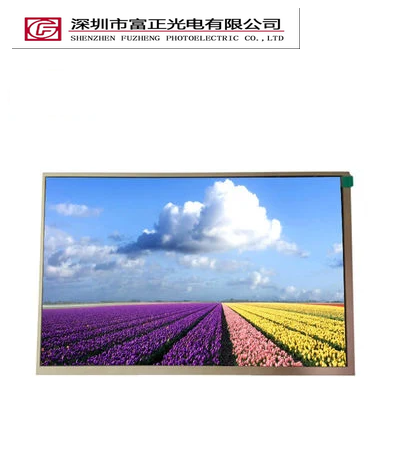 Z101WX21 Industrial TFT-LCD Display product photograph