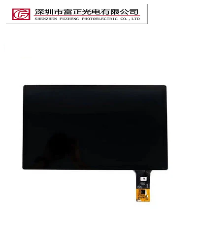 Z156FH03-CT display module view 4