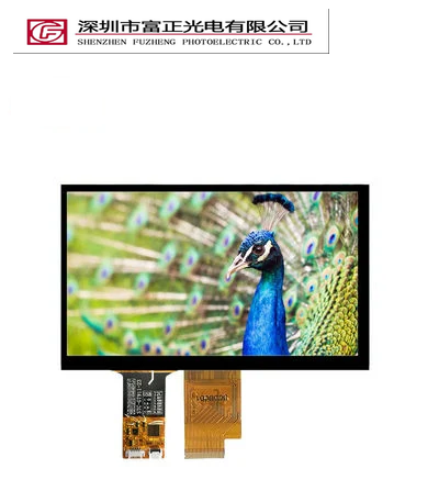 Z070WS37-CT display module view 4