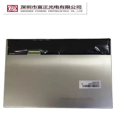 TM101JDHG30-00 display module view 2