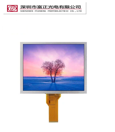Z080WS04-CT display module view 2