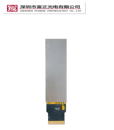 Z0299WV01 display module view 2