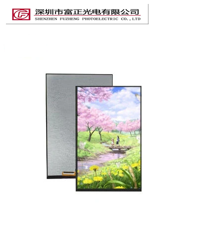 Z101WX01 TFT-LCD Display Module product photograph