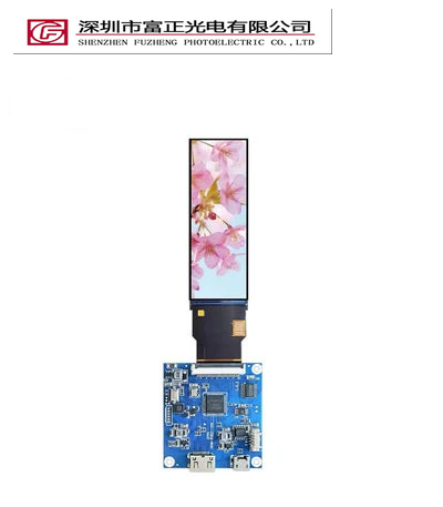 Z0299WV01 display module view 4