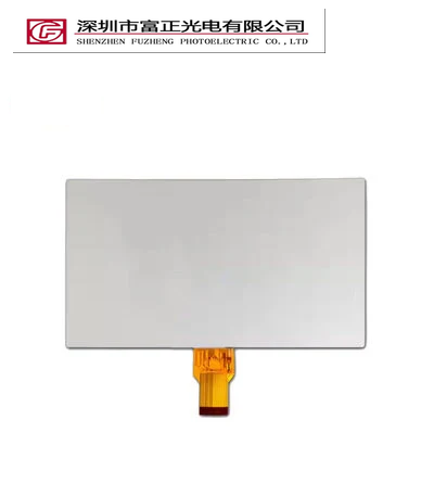 Z101WS02-T display module view 3