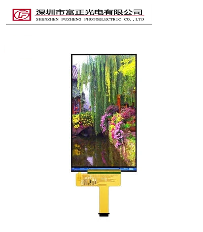 ZHD55017C31 display module view 2