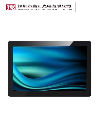 Z101WX21-CT LCD Display Module product photograph