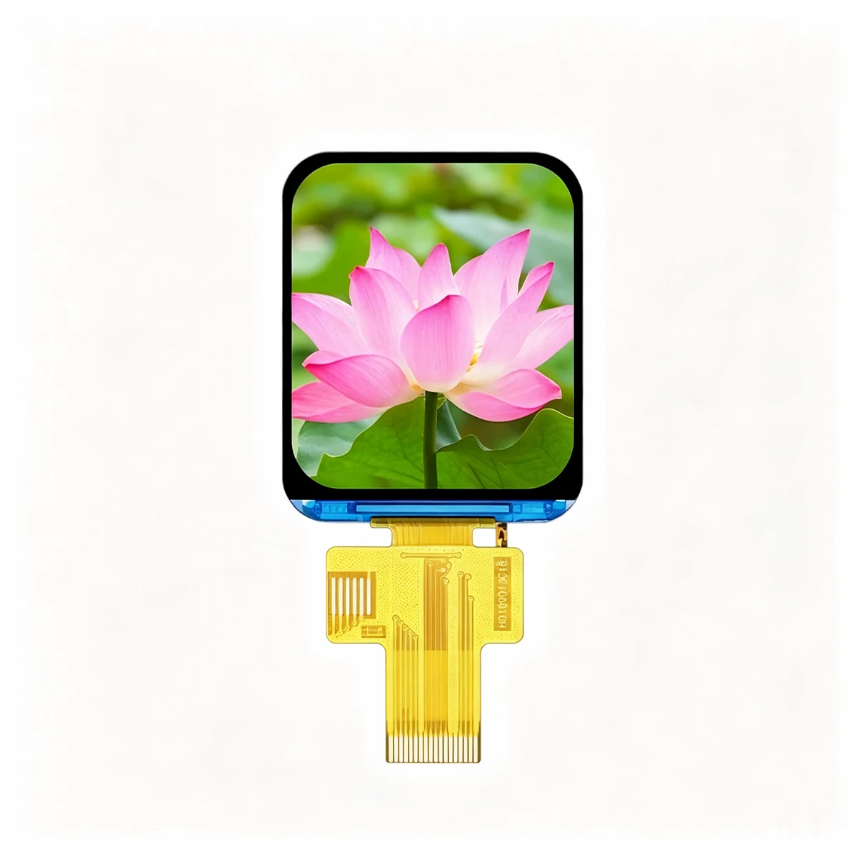FZ169-240280 1.69-inch IPS TFT-LCD displaying a lotus image with its FPC visible