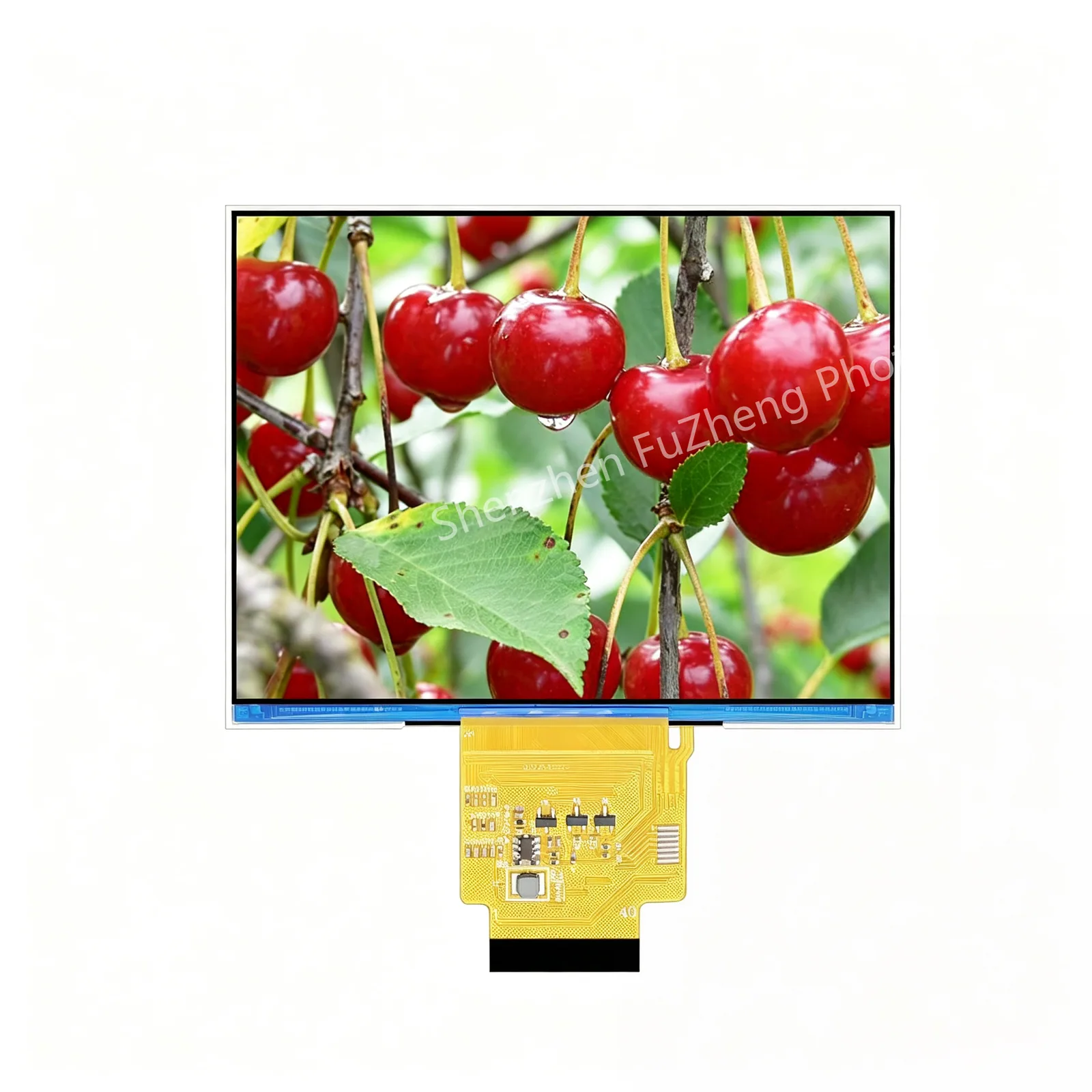 FZ430-1024768 powered front view displaying a cherry image