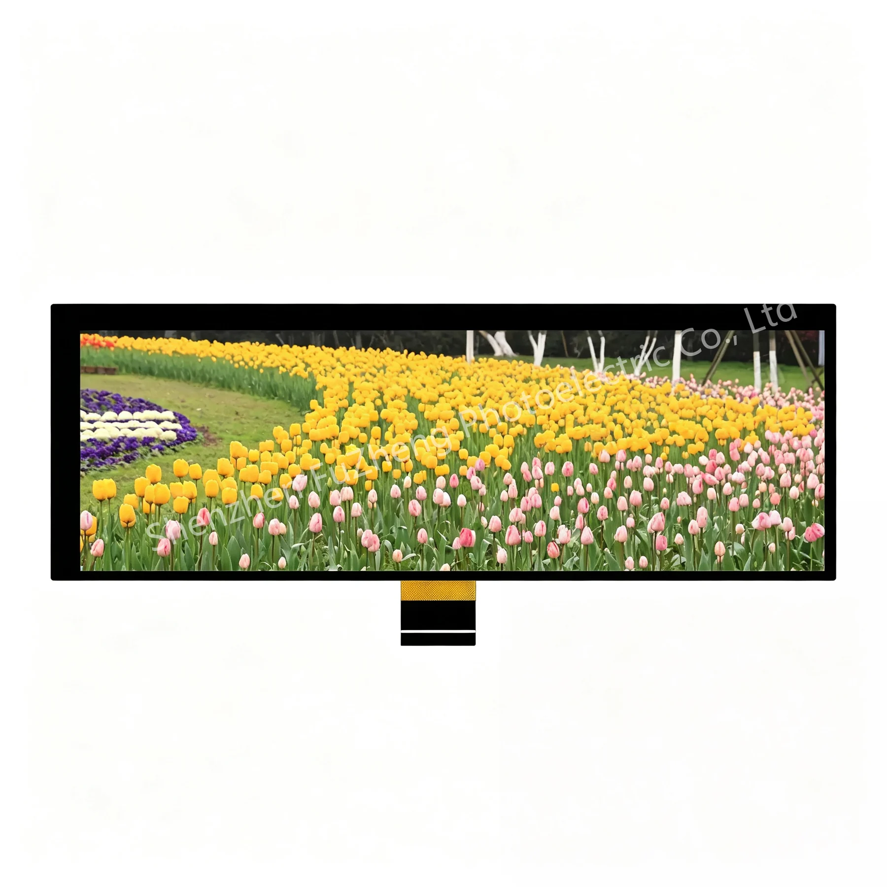 FZ81600C40 product view 1